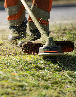 lawn care victoria